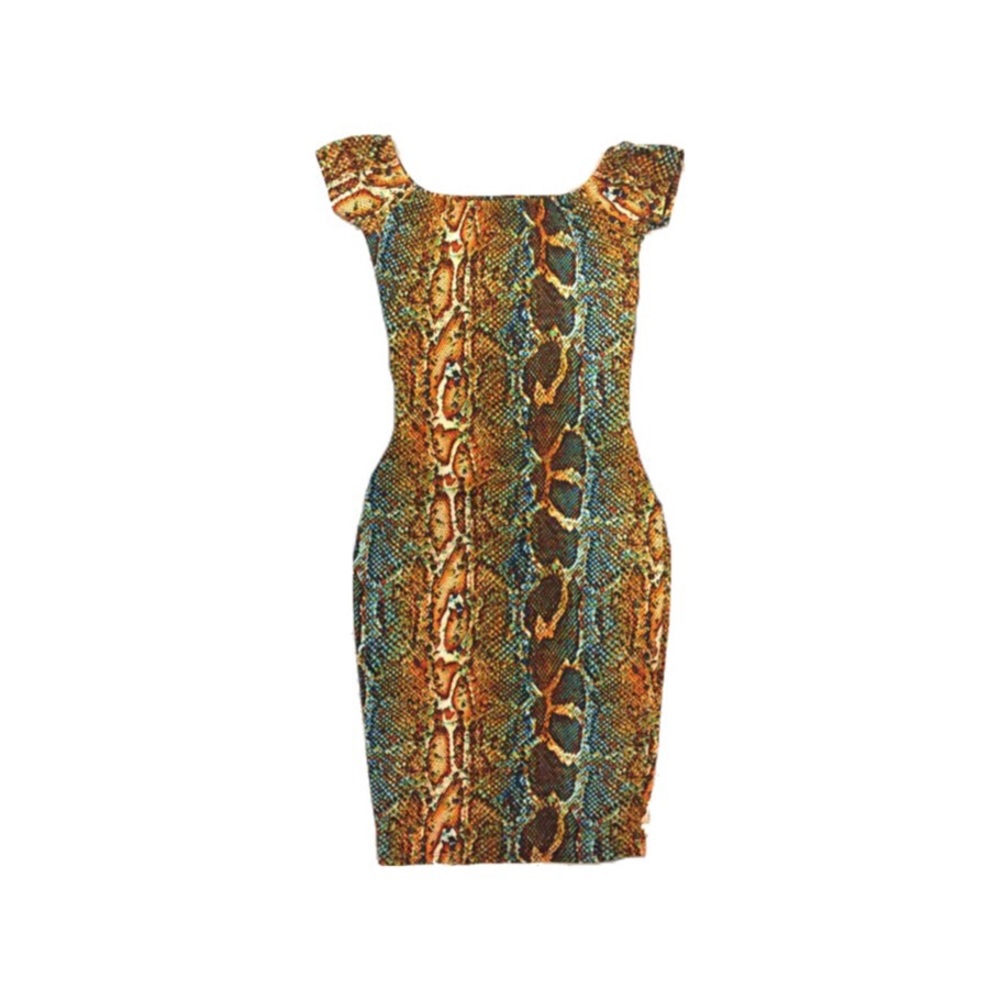 Multi Colored Snake Print Dress